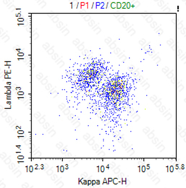 APC Mouse anti-Human Kappa Antibody(L1C1)
