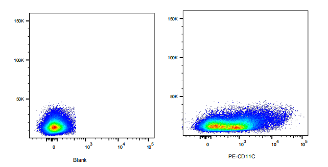 PE Armenian Hamster anti-Mouse CD11c Antibody(N418)