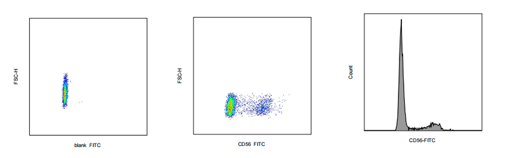 FITC Mouse anti-Human CD56 Antibody(MY31)
