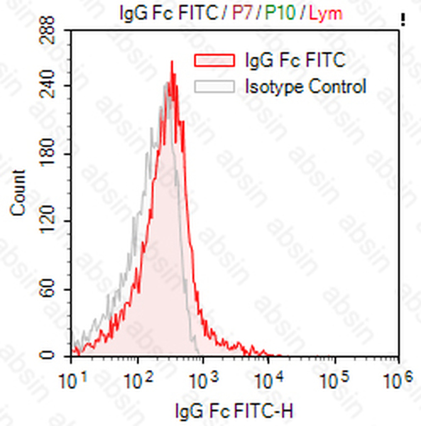 FITC Mouse anti-Human IgG Fc Antibody(HP6043)