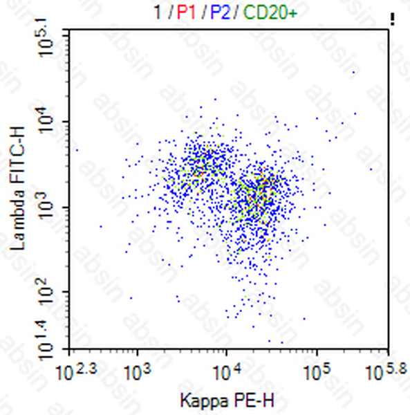 PE Mouse anti-Human Kappa Antibody(L1C1)