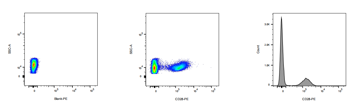 PE Mouse anti-Human CD28 Antibody(CD28.2)