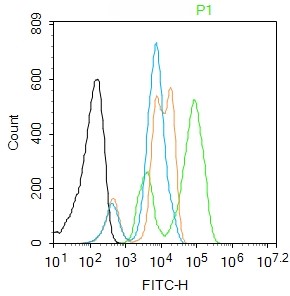 Rabbit anti-Phospho-Histone H2A.X(Ser139) Polyclonal Antibody