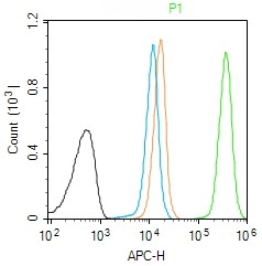 Rabbit anti-PGC1α+β Polyclonal Antibody
