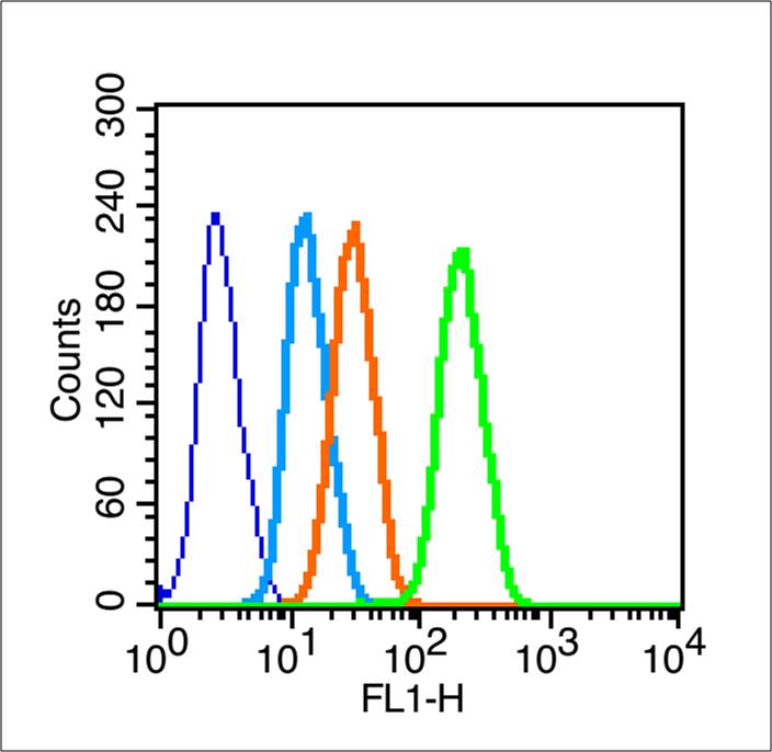 Rabbit anti-Phospho-PKC δ(Tyr52) Polyclonal Antibody
