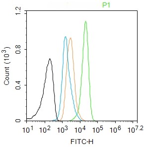Rabbit anti-Histone H2B Monoclonal Antibody