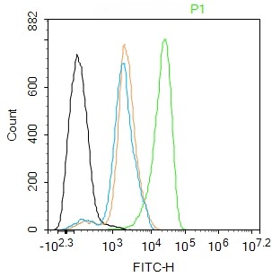 Rabbit anti-PCNA(Nuclear Loading Control) Monoclonal Antibody
