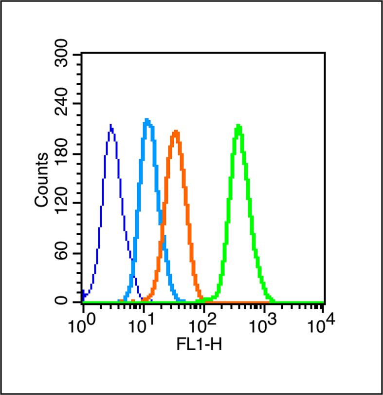 Rabbit anti-Phospho-PKC δ(Ser645) Polyclonal Antibody