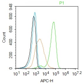 Mouse anti-CD90/Thy-1 Monoclonal Antibody