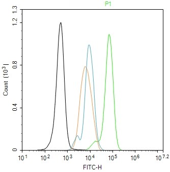 Rabbit anti-Phospho-Histone H1.4(Thr18) Polyclonal Antibody