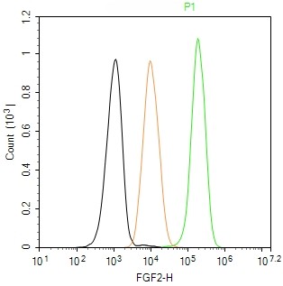 Rabbit anti-bFGF Monoclonal Antibody