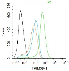 Rabbit anti-TRIM38 Polyclonal Antibody