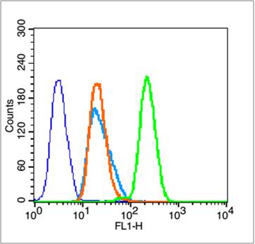 Rabbit anti-DiMethyl-Histone H3(Lys4) Polyclonal Antibody