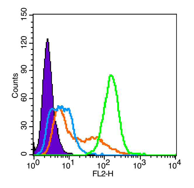 Rabbit anti-Histone H3(Acetyl K27) Polyclonal Antibody
