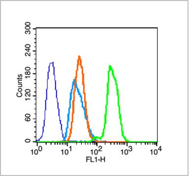 Rabbit anti-Histone H3(Acetyl K9) Polyclonal Antibody