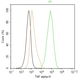 Rabbit anti-TNF α Polyclonal Antibody