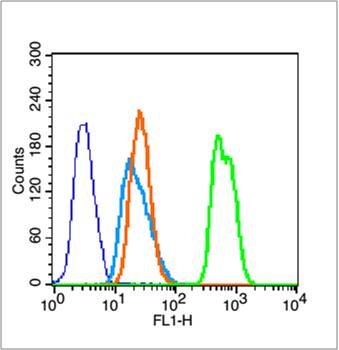 Rabbit anti-Histone H3(Acetyl K23) Polyclonal Antibody