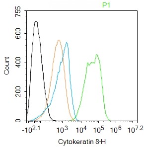 Mouse anti-Cytokeratin 8 Monoclonal Antibody