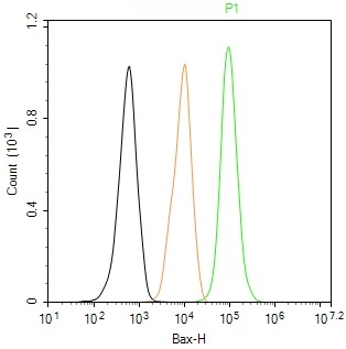 Rabbit anti-Bax Monoclonal Antibody