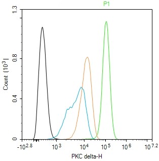 Rabbit anti-PKC δ Monoclonal Antibody