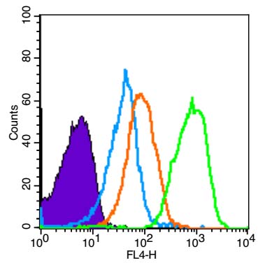 Rabbit Anti-TRIM32/BBS11 Polyclonal Antibody
