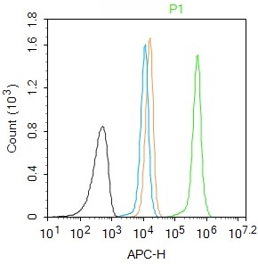 Rabbit anti-Phospho-Histone H2A.X(Ser139) Polyclonal Antibody