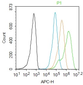 Rabbit anti-Histone H3(Acetyl K9) Polyclonal Antibody