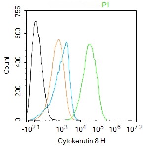 Mouse anti-Cytokeratin 8 Monoclonal Antibody