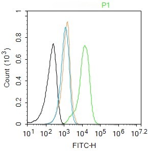 Rabbit anti-Phospho-PKM2(Tyr148) Polyclonal Antibody