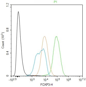 Rabbit anti-FoxP3 Polyclonal Antibody